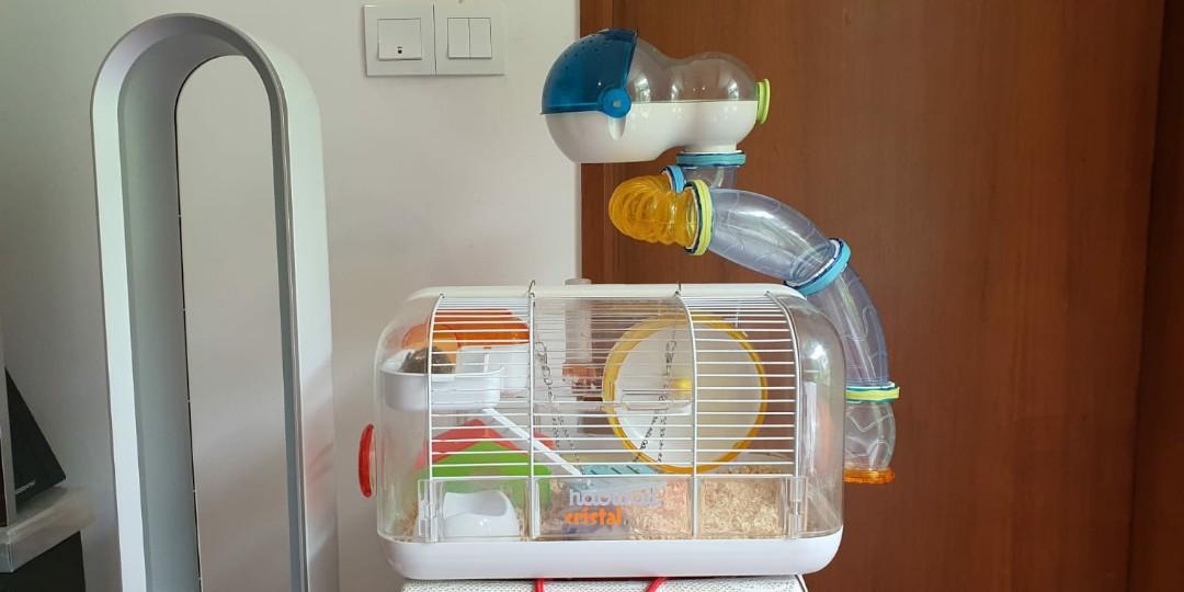 Photo inspiration: Hamster Platform Wooden 2 Pack Small Animal Cage Accessories For Photo Inspiration