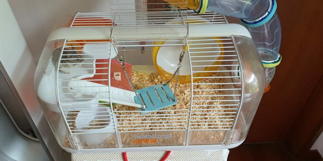 Photo inspiration: Top 10 Wooden Hamster Cages Ideal For Multi Hamster Families Photo Inspiration