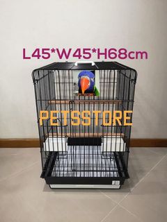 (Category: ) located in . Submitted by petsstore (Listing ID 1051918500, Image 1). Description: .