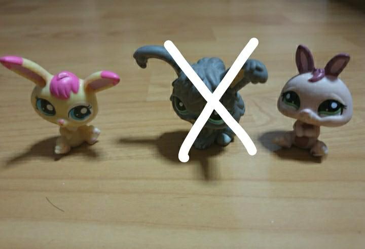 Lps baby bunny outlet