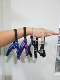 （分類：）位於 。 由 _lam0714 提交（商品編號 1052018404，圖片 1）。簡介： 。