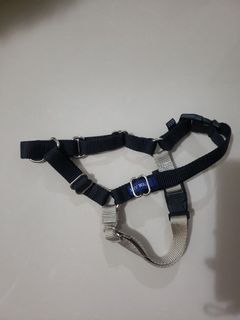 （分類：）位於 。 由 _lam0714 提交（商品編號 1052019022，圖片 1）。簡介： 。