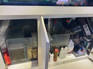 (Category: ) located in . Submitted by james_cheong18 (Listing ID 1052195115, Image 1). Description: .