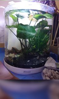 （分類：）位於 。 由 dimmyy 提交（商品編號 1052122912，圖片 1）。簡介： 。