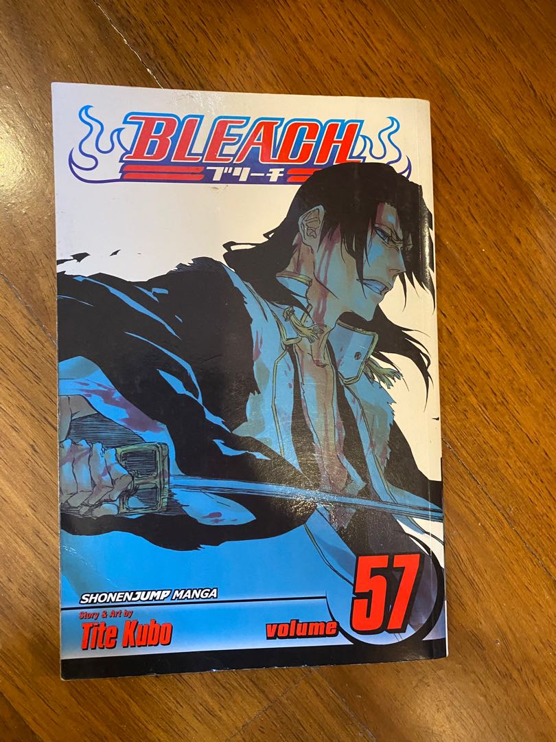 BLEACH ほぼ全巻 俺はついていけるだろうか君のいない世界のスピードに ao[BLEACH