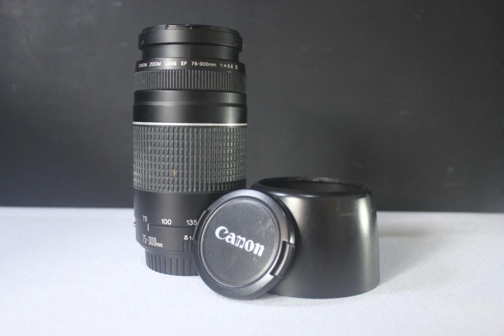 Canon Ef 75 300mm F 4 5 6 Iii Telephoto Zoom Lens For Canon Slr Cameras Photography Cameras On Carousell