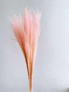 (Category: ) located in . Submitted by lilflowerroom (Listing ID 1052199966, Image 1). Description: .