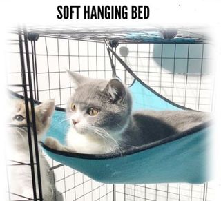 (Category: ) located in . Submitted by lj.petshop (Listing ID 1052242550, Image 1). Description: .