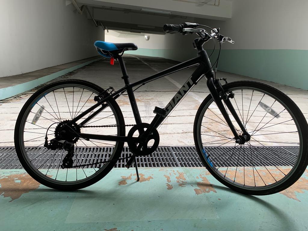 Giant escape jr 24 2019 hotsell