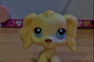 littlest pet shop 670
