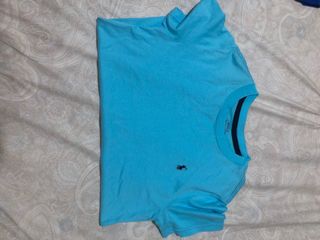 (Category: ) located in . Submitted by paula0208 (Listing ID 1052205695, Image 1). Description: .