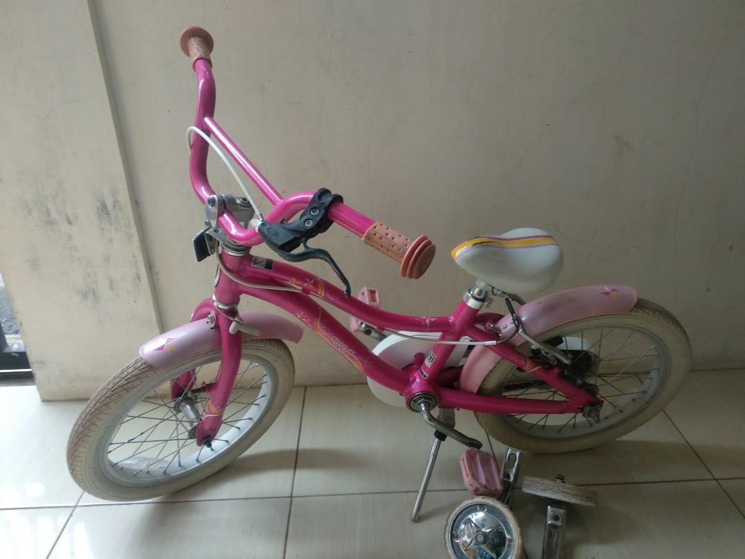 Schwinn shop stardust 16