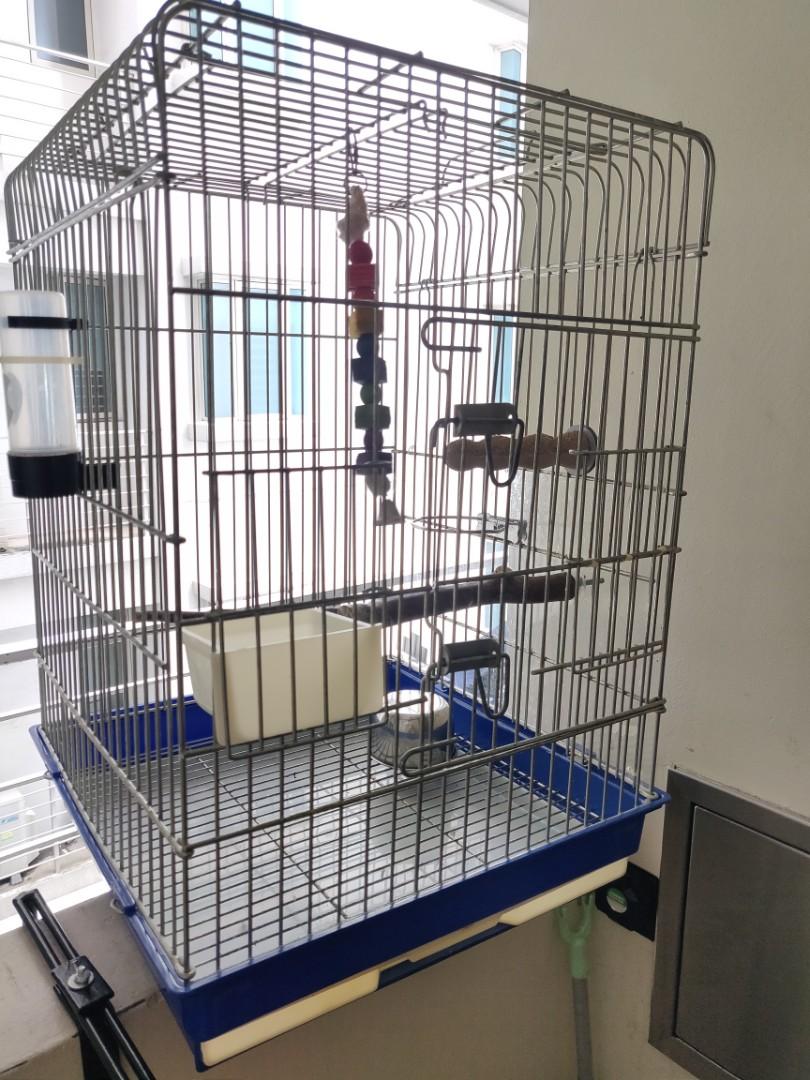 Conure cage for sale online