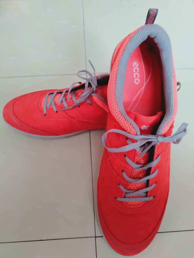ecco 29