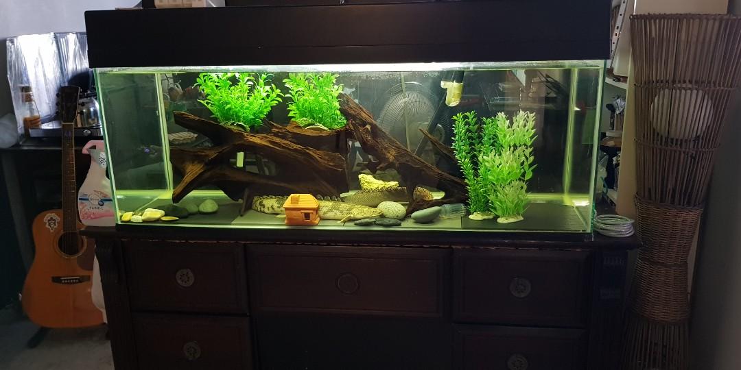 askoll aquarium pump