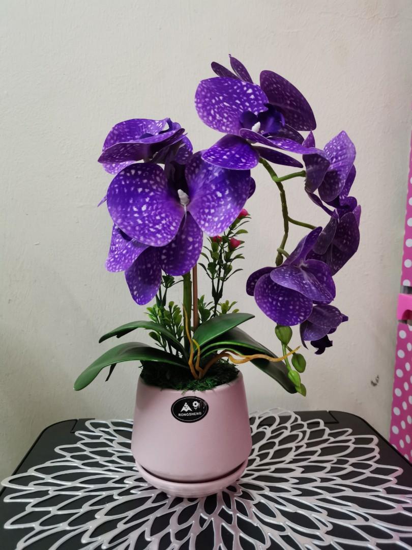 Orkid Hiasan Home Furniture Home Decor On Carousell