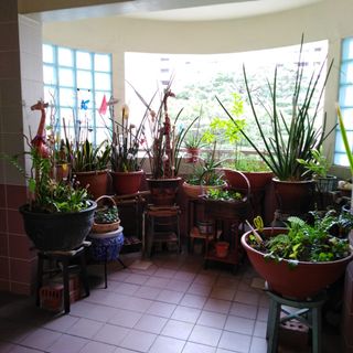 (Category: ) located in . Submitted by mturawong (Listing ID 1052370621, Image 1). Description: .