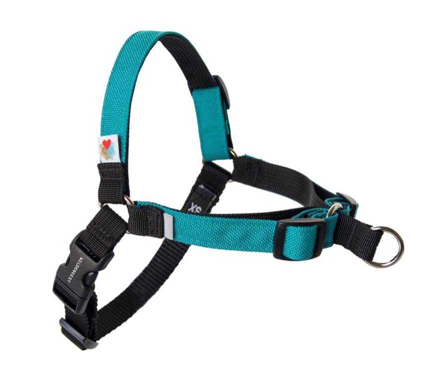 Wildebeest dog leash Clearance