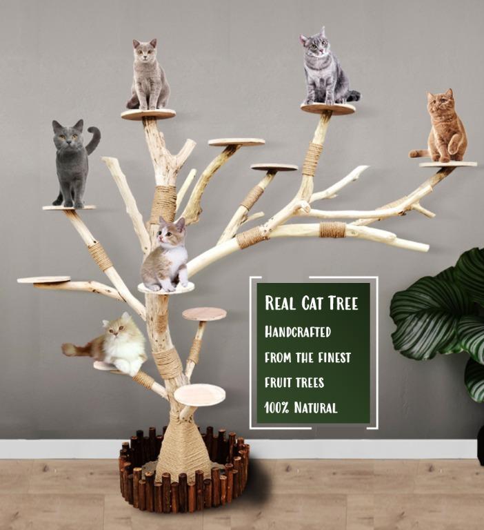 All Natural Solid Real Cat Tree Cat Condo Cat Furniture Cat Playground Pet Supplies For Cats Cat Accessories On Carousell