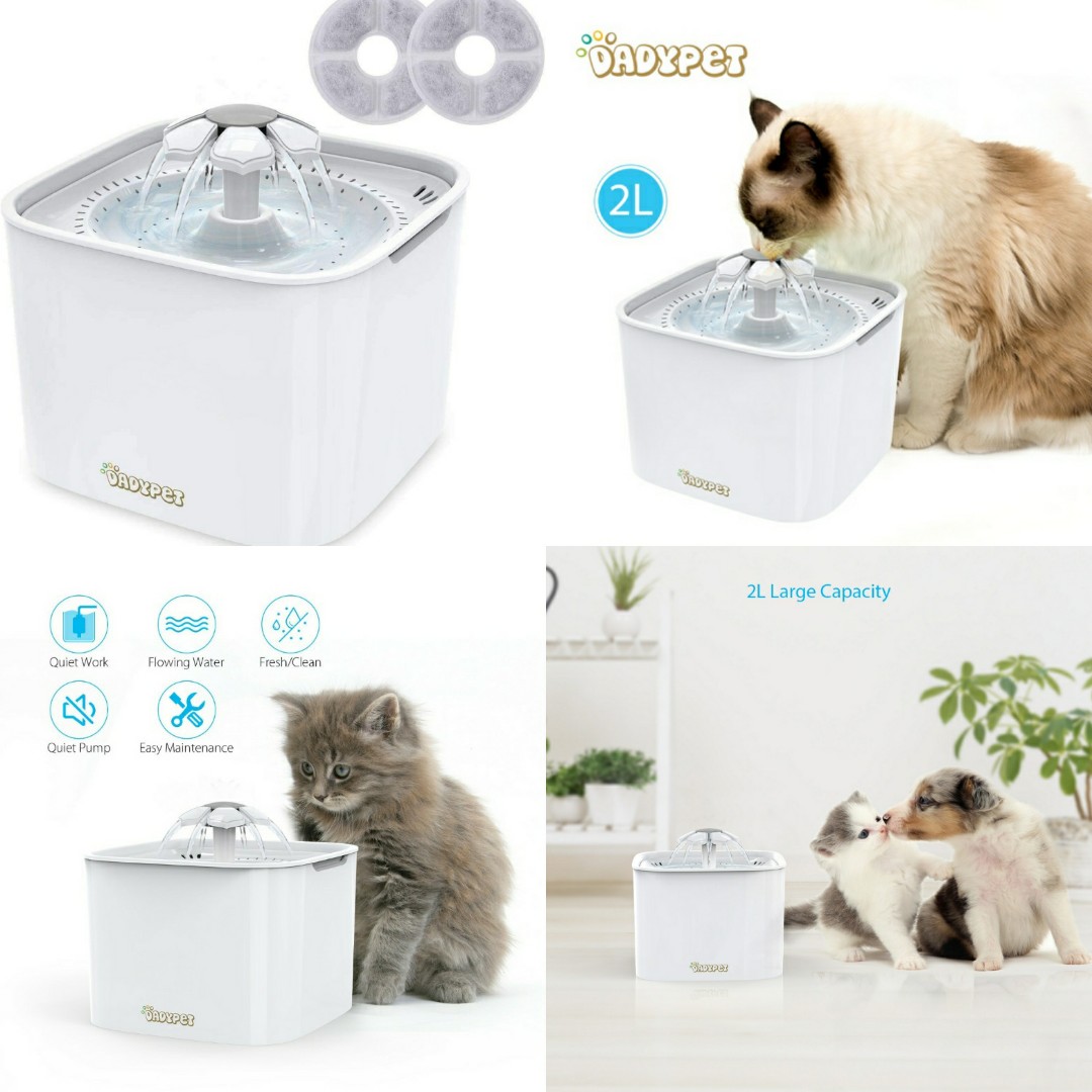 Dadypet water fountain 2025