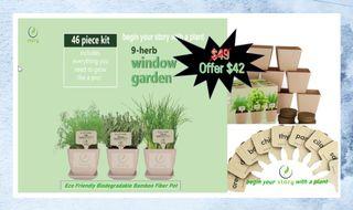 Growing Kits Gardening Carousell Singapore