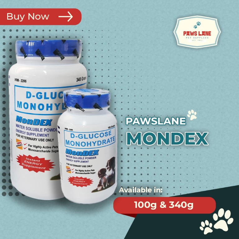 mondex dextrose powder price