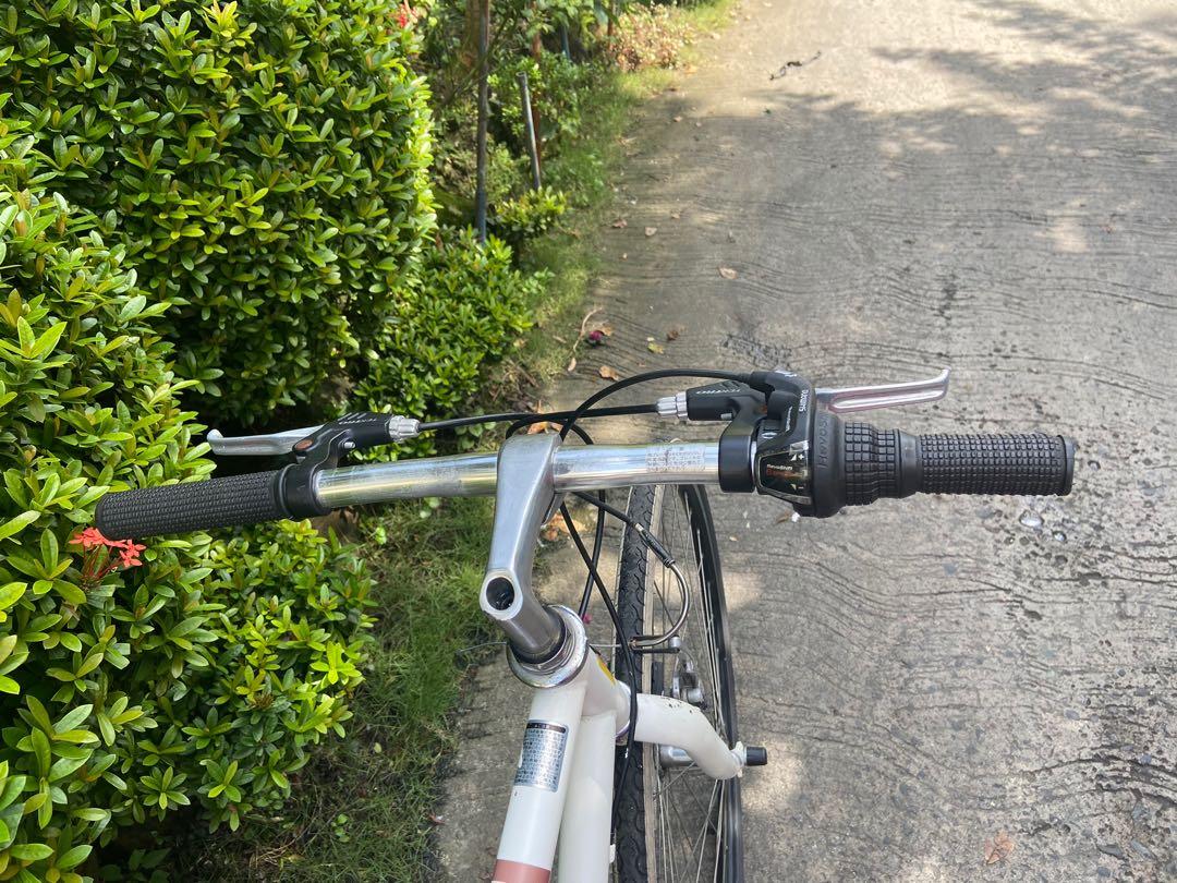fxt 300 mountain bike