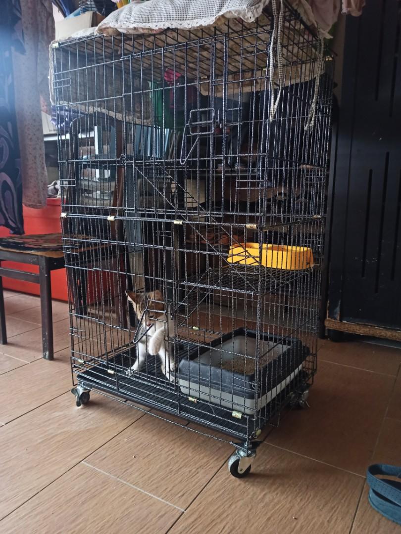 Sangkar Kucing, Pet Supplies, Pet Accessories on Carousell