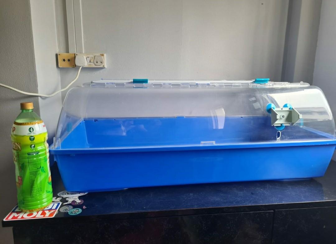 Zoozone 2 Large Cage, Pet Supplies, Homes & Other Pet Accessories on