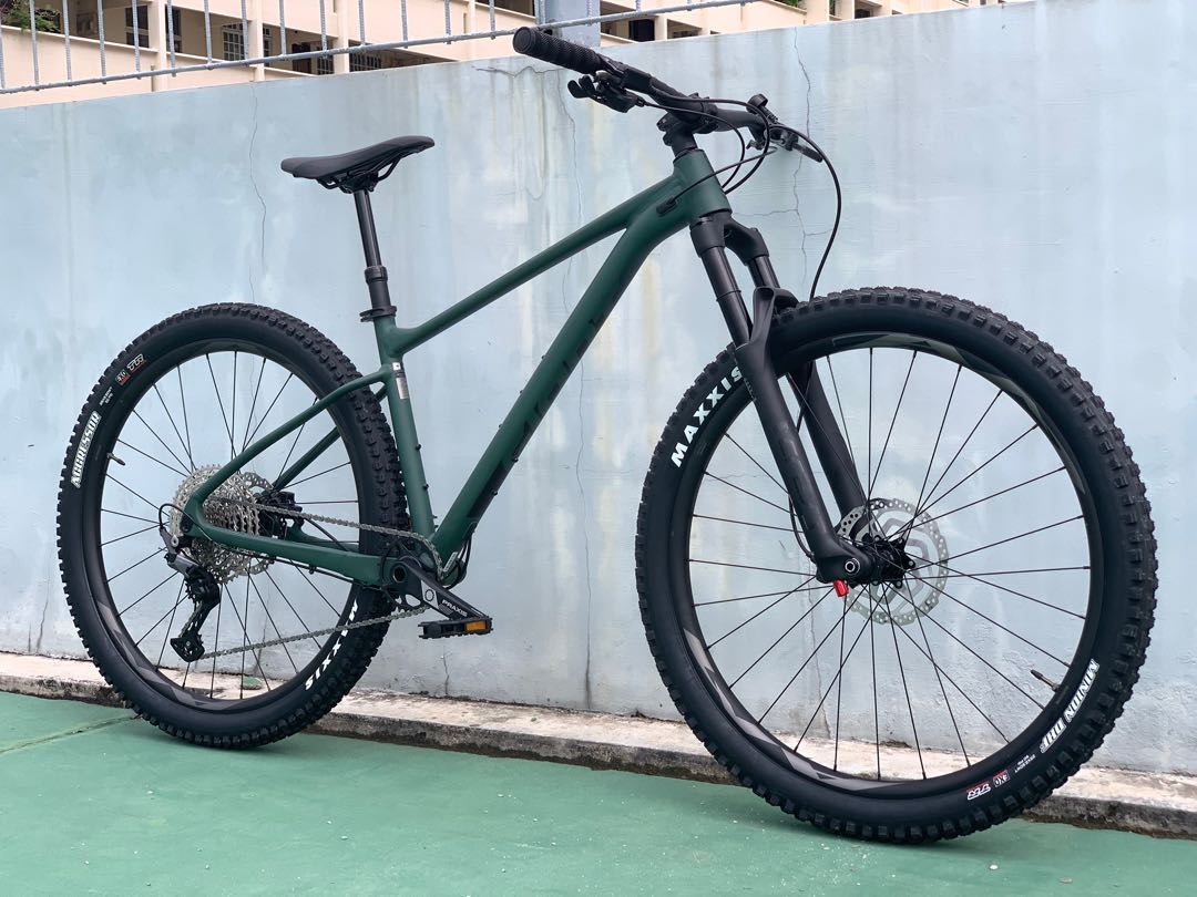 giant fathom 2 29er 2021