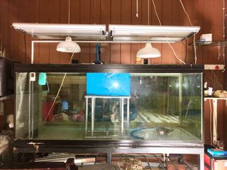(Category: ) located in . Submitted by arifazali (Listing ID 1052756224, Image 1). Description: .