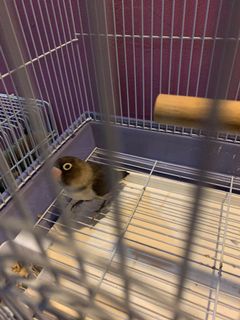 (Category: ) located in . Submitted by clarencekr8 (Listing ID 1052717096, Image 1). Description: .