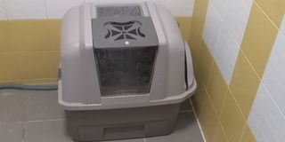 (Category: ) located in . Submitted by shazaf88 (Listing ID 1052773063, Image 1). Description: .