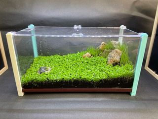 (Category: ) located in . Submitted by aandss (Listing ID 1052580348, Image 1). Description: .