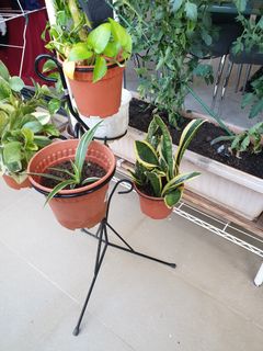 (Category: ) located in . Submitted by dhrutz (Listing ID 1052786546, Image 1). Description: .
