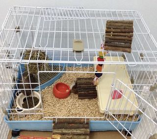 (Category: ) located in . Submitted by morgorg5 (Listing ID 1052755767, Image 1). Description: .