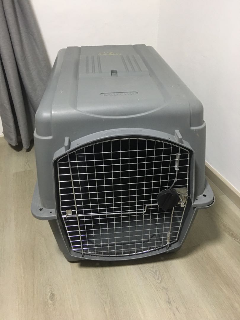 Large dog cage Petmate Sky Kennel Ultra, Pet Supplies, Homes & Other