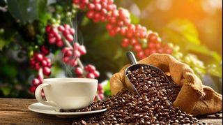 LatinX - Pandy Cafe Blends - 100% Arabica Coffee Blends  - Roast on Order