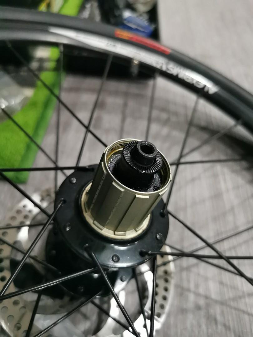 Reach T20 Wheelset 20