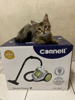 (Category: ) located in . Submitted by melafiqah (Listing ID 1052612807, Image 1). Description: .