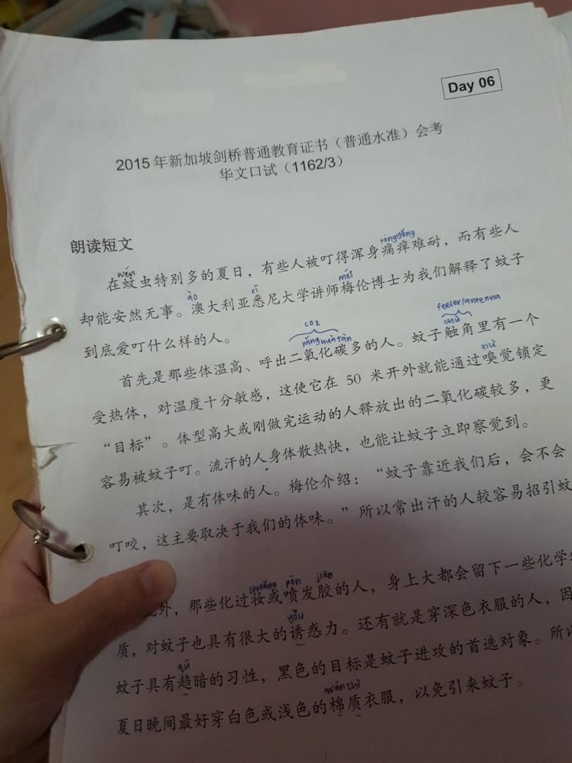 Wts Chinese Oral Notes Hobbies Toys Books Magazines Assessment Books On Carousell