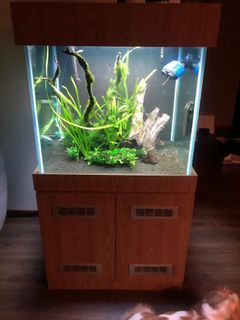 (Category: ) located in . Submitted by _hahn88 (Listing ID 1046851171, Image 1). Description: .