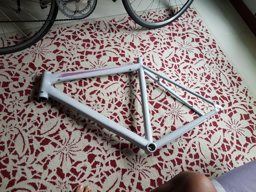 53 cm bike frame