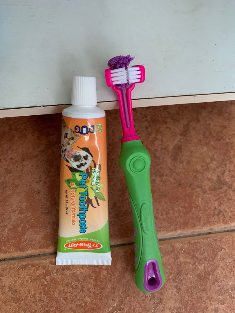 toothpaste and toothbrush