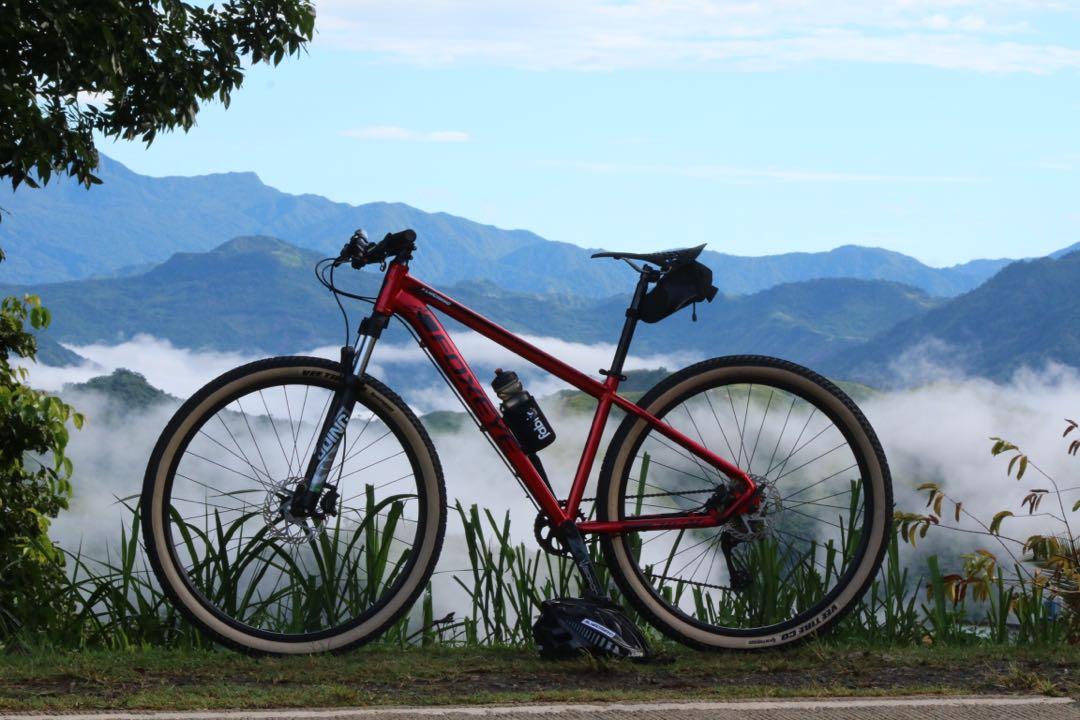 Foxeye hot sale storm 29er