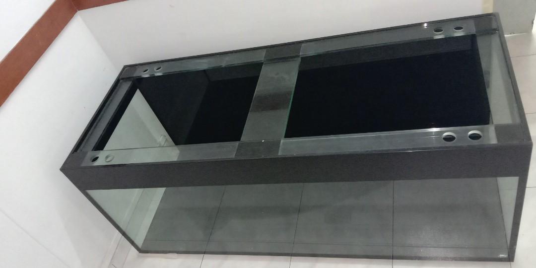 5x2x2 Euro Bracing 12 mm Glass Tank, Pet Supplies, Homes & Other Pet