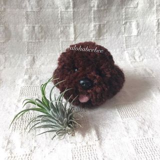 （分類：）位於 。 由 alohabeebee 提交（商品編號 1047220402，圖片 1）。簡介： 。