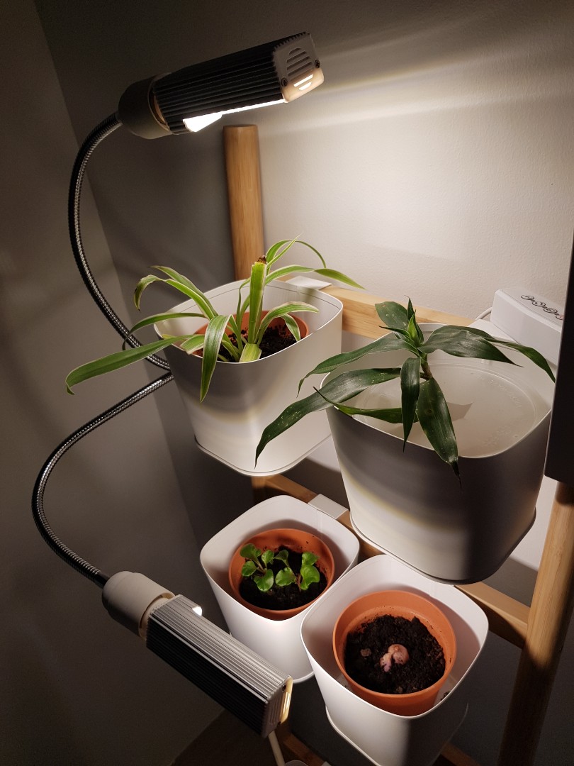 IKEA satsumas plant rack/ladder, Furniture & Home Living, Gardening, Pots & Planters on Carousell