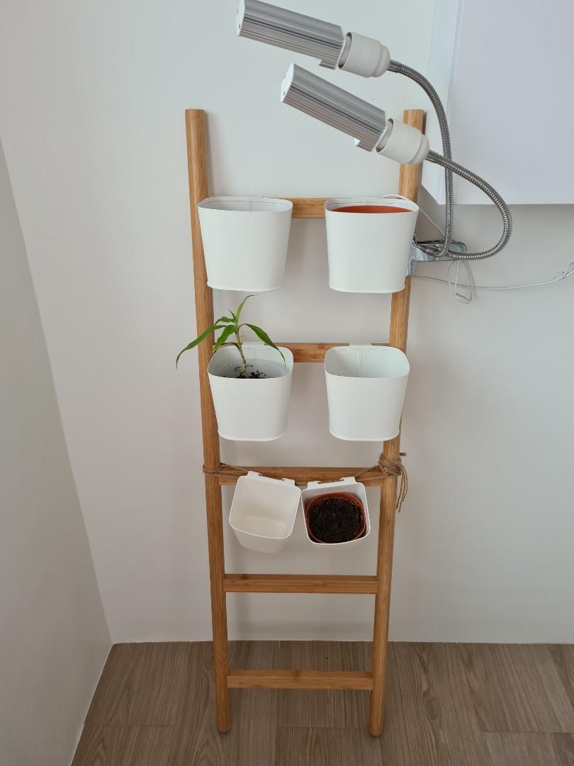 IKEA satsumas plant rack/ladder, Furniture & Home Living, Gardening