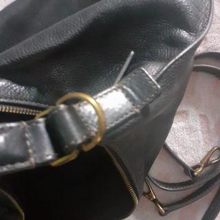 Tas fosil